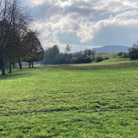 Country Kolpa Apartman Adlešiči